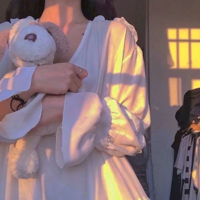 女神捕之迷局