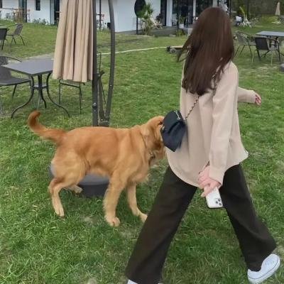 阴儿